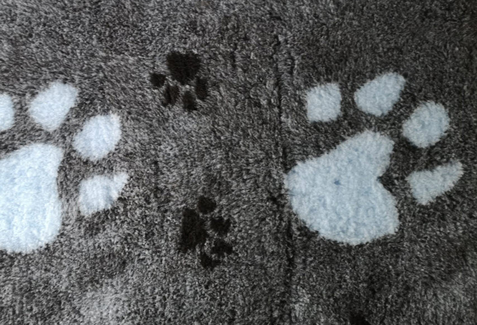 Vetbeds / Liegedecken - Pfotenmuster – Bild 5