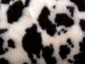 Vet Beddings Kuhfleckenmuster
