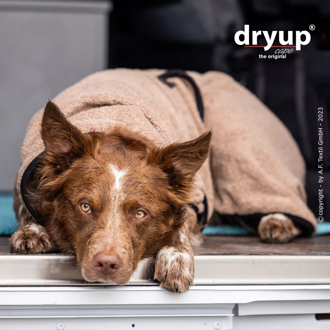 DRYUP CAPE - the original by action-factory