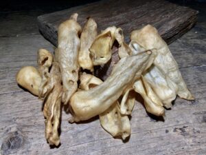 Hirschohren 250gr. aus Schweizer Fleisch