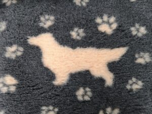 Golden Retriever Sujet mit Pfötchen