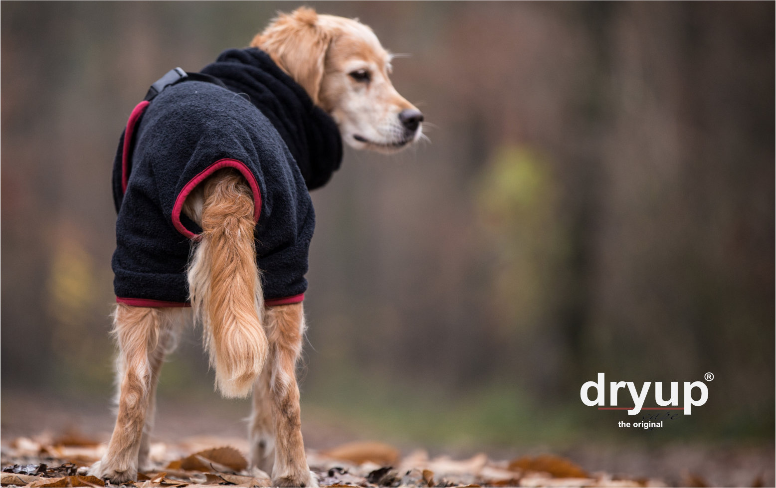DRYUP CAPE - the original by action-factory – Bild 12