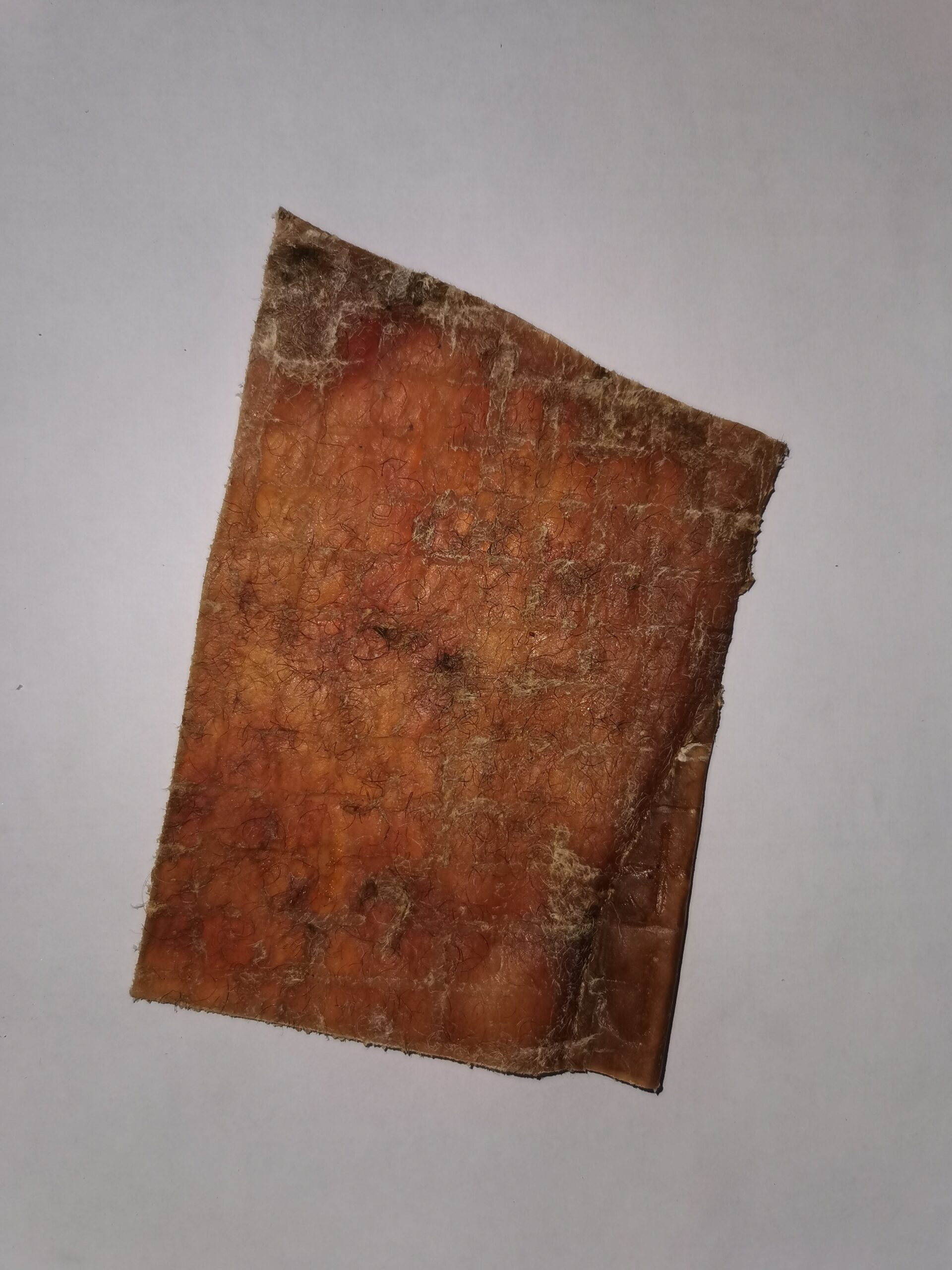 Büffelhautkauplatten (EU Produkt) – Bild 3