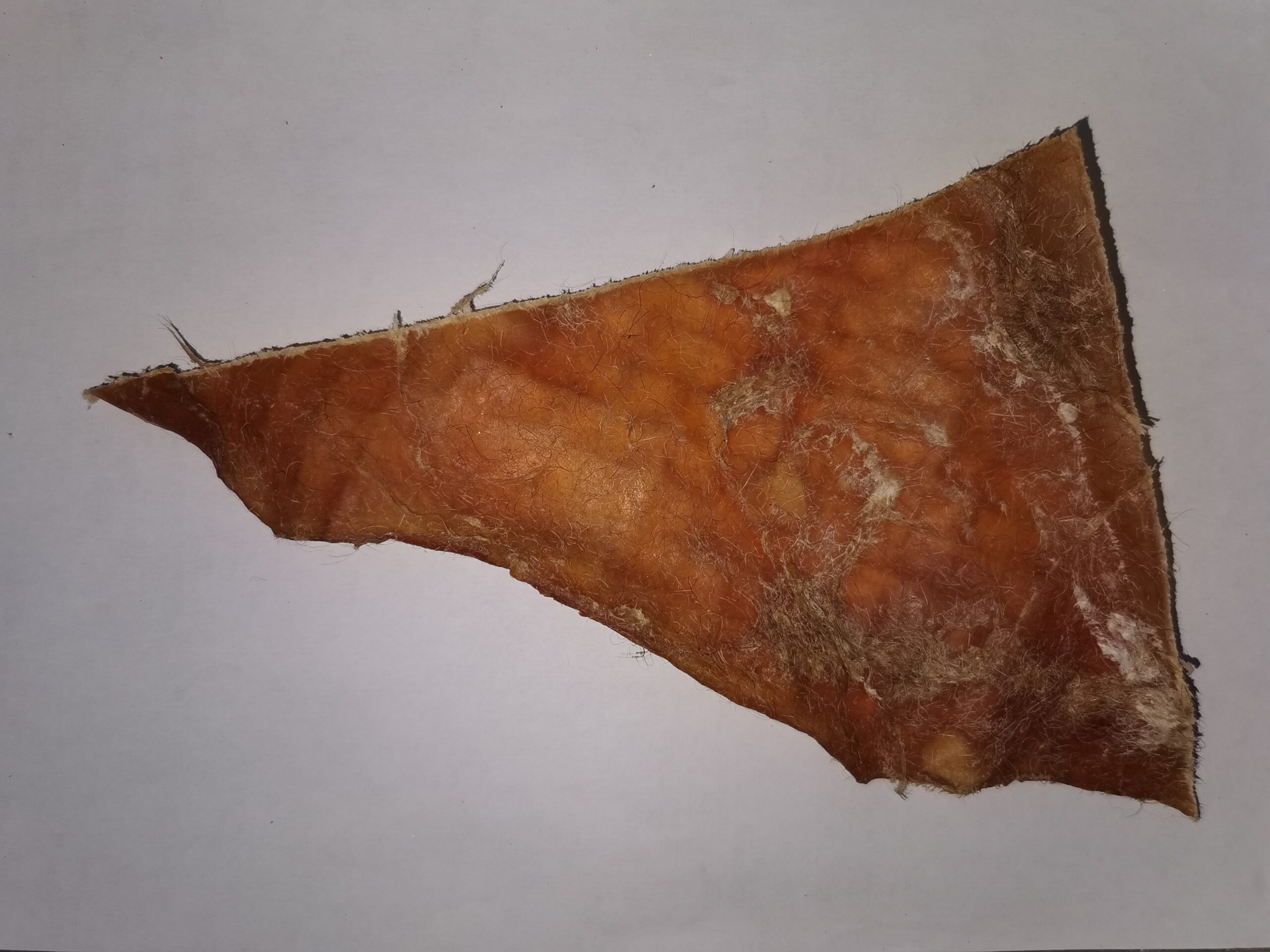 Büffelhautkauplatten (EU Produkt) – Bild 2