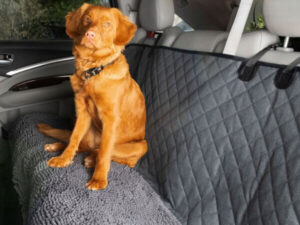 Dog Gone Smart Autoschondecke Doppel 3in2 Cool in grau