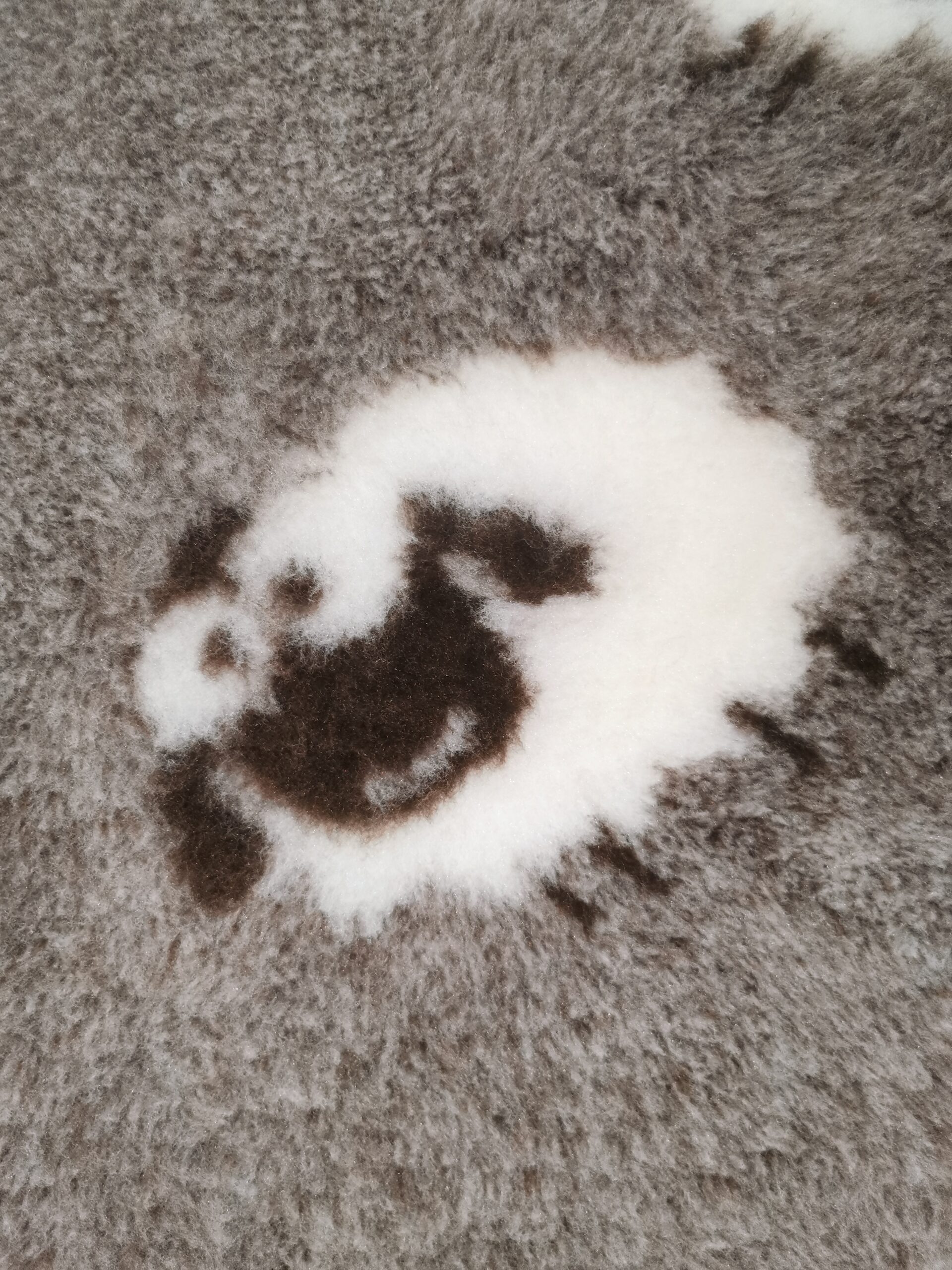 Vebteds "Schäfli" in 2 Farben erhältlich – Bild 3