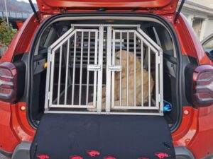 zu verkaufen Doppelhundebox; VP 550 CHF