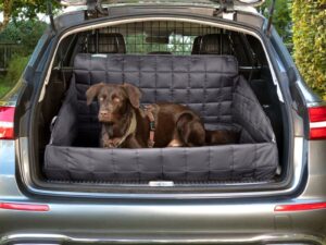 Doktor Bark Autoschondecke für die Rückbank